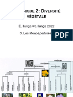 3 Angio - Monoaperturées - L1 Agro Et GRNR - Ilunga - 2022