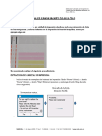 Limpieza Cabezal Maxify GX-6010-7010