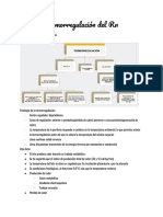 Termorregulación Del RN