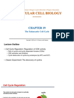 Class II - Regulation of CDK Activity