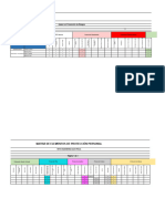 Matriz EPP