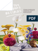 PDF Programa