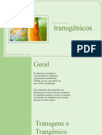 Transgênicos