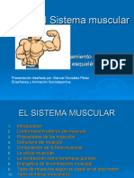 El Sistema Muscular