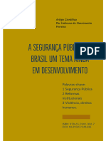 A Seguranca Publica Do Brasil Um Tema Ainda em Desenvolvimen