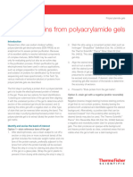 Extract Proteins Polyacrylamide Gels Tech Tip