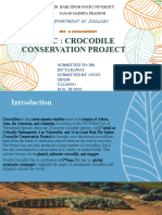 Crocodileproject 240217071231 A168ec68