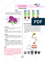 2024.ayt - Adf-Föy.33.bi̇tki̇lerde Eşeyli̇ Üreme - Kubi̇laykurnaz