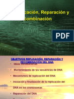 3 DNA Replicacion Reparacion y Recombinacion