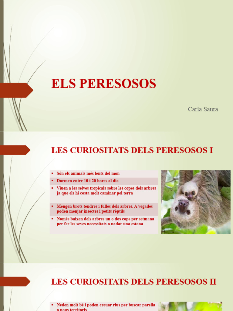 Els Peresosos | PDF
