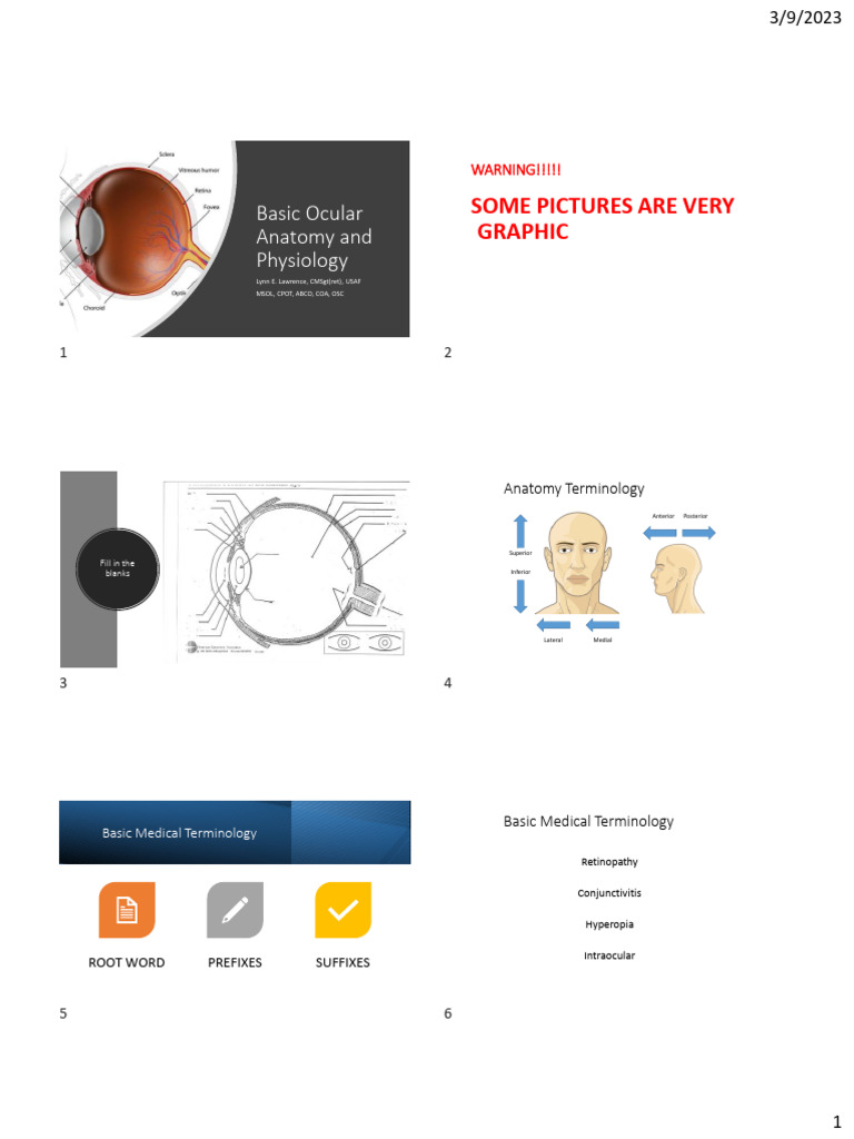 Basic Ocular Anatomy and Physiology Guide | PDF | Retina | Cornea