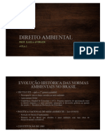 DIREITO AMBIENTAL - AULAS 1 E 2.pptx