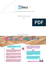 Mitosis y Meiosis Ma 484146 Downloadable 5087308