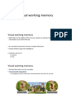 Visual Working Memory