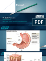 Surgery2 07 Stomach and Small Intestine