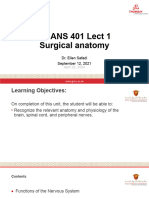 Week 1 Neuro Anatomy Gmu