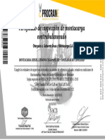 Certificado Inspeccion Montacarga 7TN
