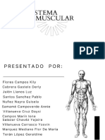 1d Sistema Muscular