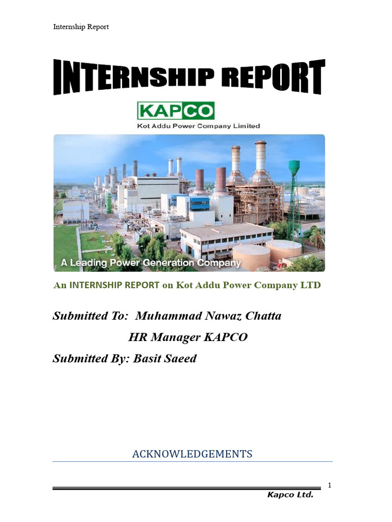 Report Basit Saeed | PDF | Procurement | Gas Turbine