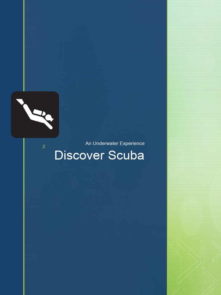 Scuba Diving Experience Course | PDF