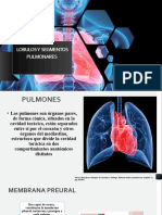 Lobulos y Segmentos Pulmonares