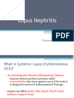 Lupus Nephritis Slides