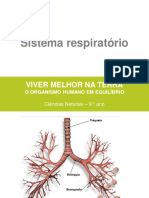 Sistema Respiratório