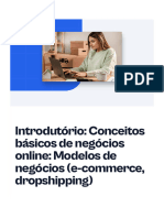 Introdutorio Conceitos Basicos de Negocios Online Modelos de Negocios e Commerce Dropshipping (1)