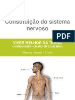 PP - Sistema Nervoso