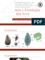 Anatomia e Fisiologia Das Aves