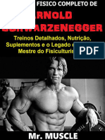 Resumo Treino Fisico Completo Arnold Schwarzenegger Treinos Detalhados Nutricao Suplementos Legado Mestre Fisiculturismo Ded9