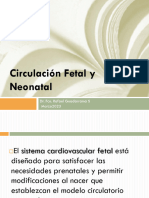 5.-Circulación Fetal Neonatal
