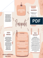 Mapa Conceptual de Presupuestos