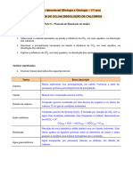 Hugo Novais Lousada - BioGeo 11 - Influencia Do Dioxido de Carbono Na Dissolucao de Calcarios - Professor