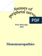 Dr. Dioszeghy Peter Mononeuropathies