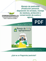 Manejo de Pesticidas (Protección Personal, Disposición