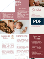 Folleto Puerperio 284110 Downloadable 4753149s