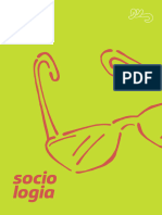 A Sociologia No Brasil PDF