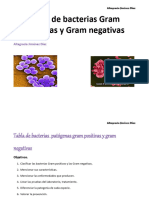 Tabla de Bacterias Gram Positivas y Negativas