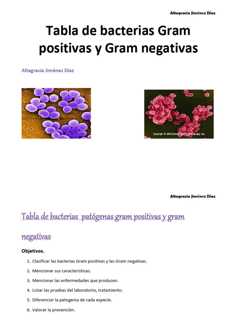 Tabla de Bacterias Gram Positivas y Negativas | PDF | Estreptococo ...