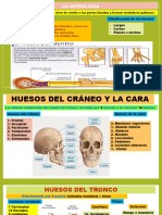 DIAPOSITIVA 4° SEC.