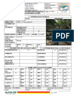 Ficha Caracterizacion - Polideportivo de Chicala