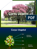 Corpo Vegetal