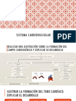 Sistema Cardiovascular1 170220160727