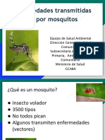 Prevencion Dengue