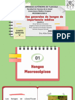 Aspectos Generales de Hongos de Importancia Médica PDF