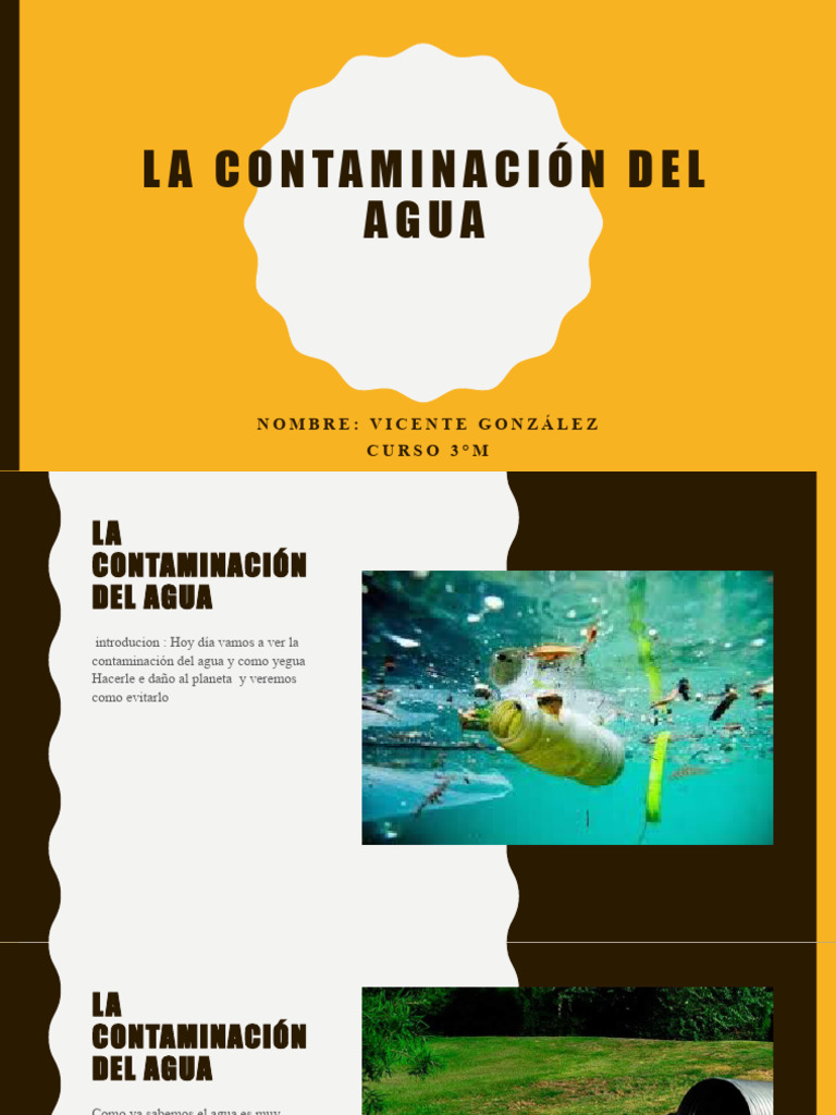 Impacto de la Contaminación del Agua | PDF | Contaminación | Agua