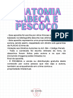 Anatomia Cabeça e Pescoço Dradentinhos