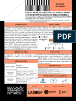 Poster EU22 MARABRENA - PDF