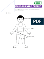 Conociendo-nuestro-cuerpo-para-segundo-de-primaria